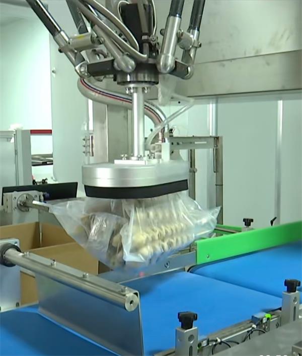 渠风生物正式投产：以创新面筋产品破局，引领小麦深加